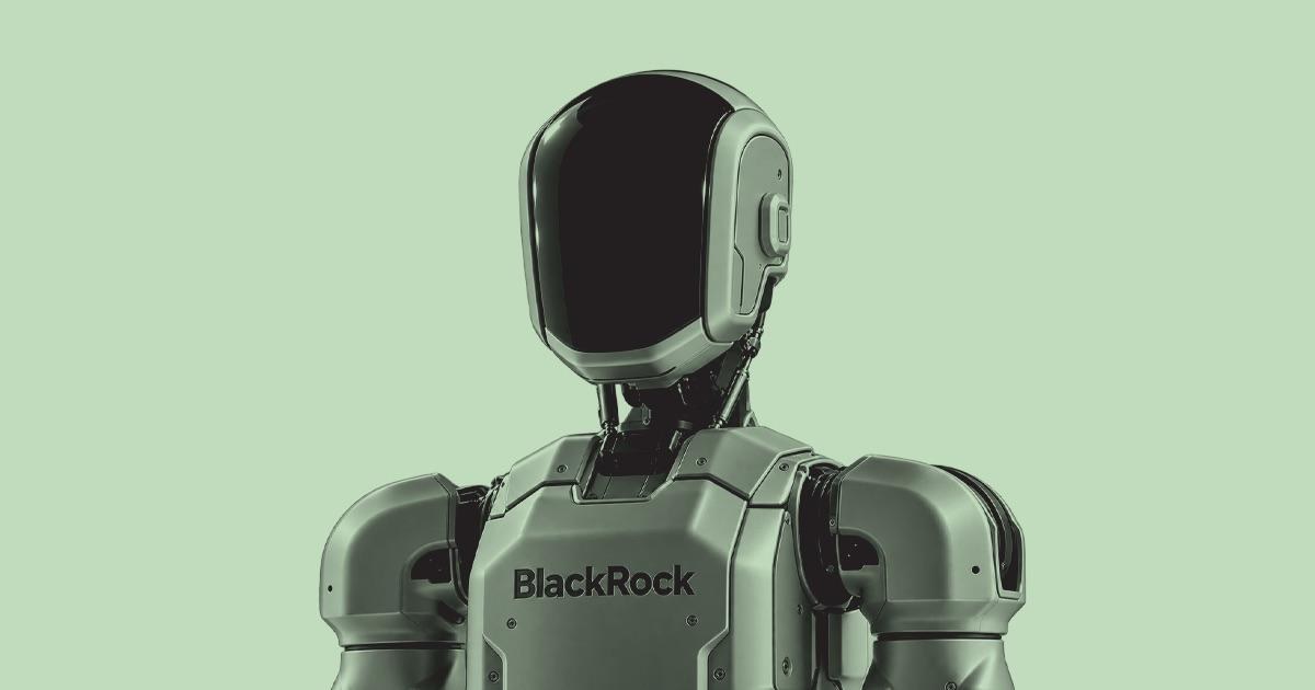 A rendered humanoid torso with the word BlackRock on the chest, on a pale green background.